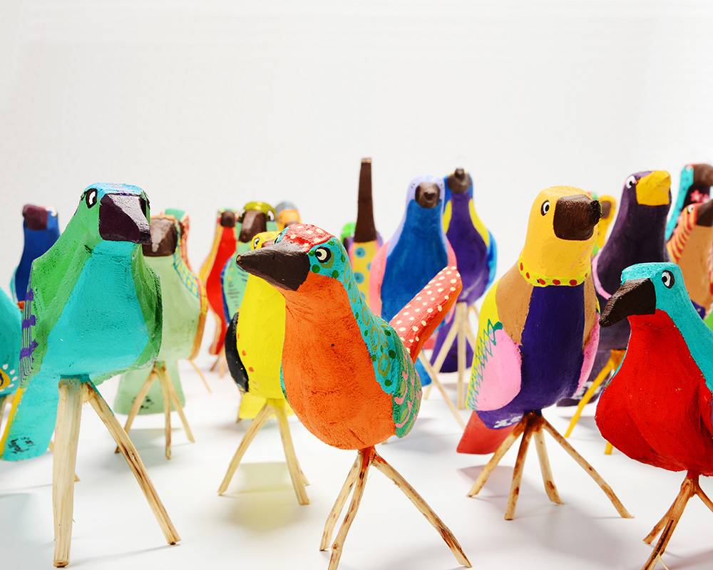 Pássaros coloridos – caboco
